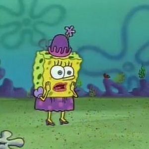 Meet your Posher, Tacobel